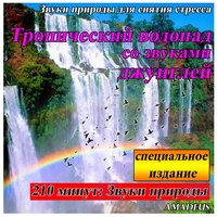 Исцеление чаши с летним садом: звуки природы