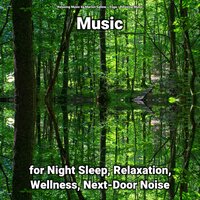 Music for Night Sleep and Relaxation Pt. 23